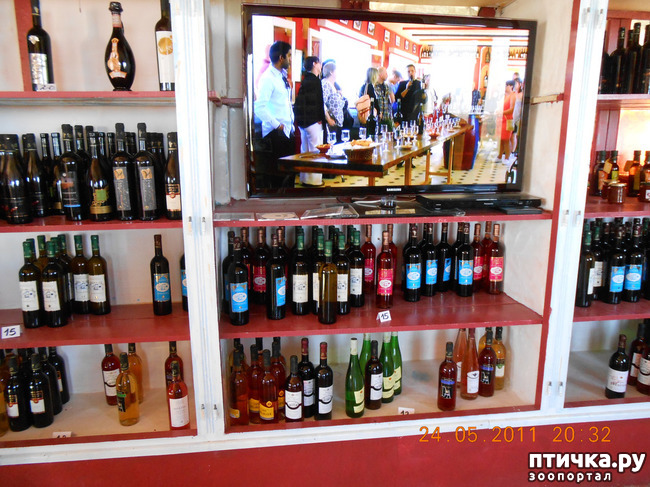 ���� 17: �����. ��� ������.