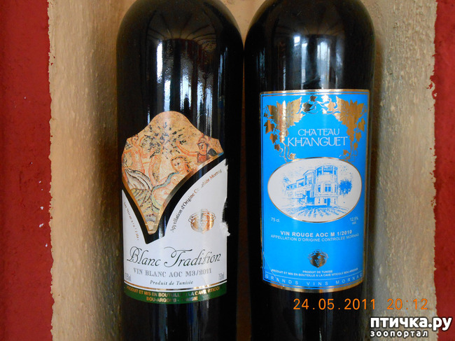 ���� 20: �����. ��� ������.