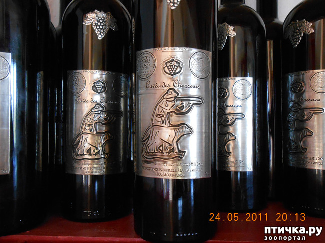 ���� 21: �����. ��� ������.