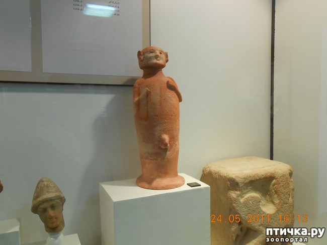 ���� 2: �����. ��� ������.