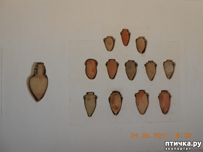 ���� 4: �����. ��� ������.