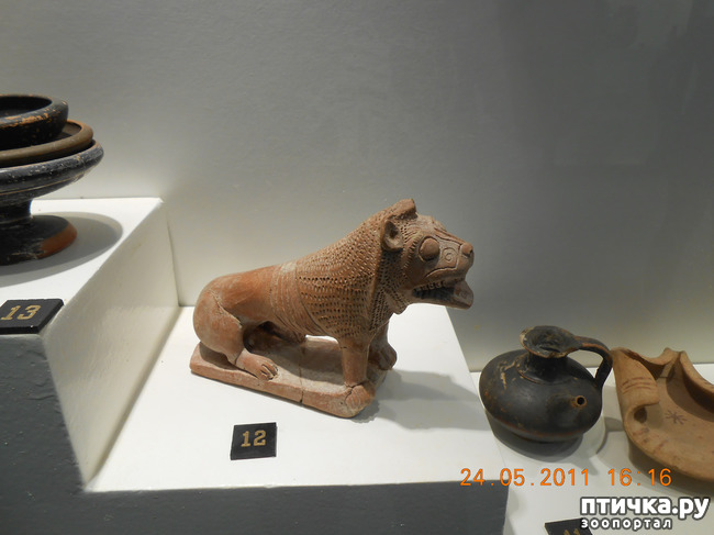 ���� 7: �����. ��� ������.