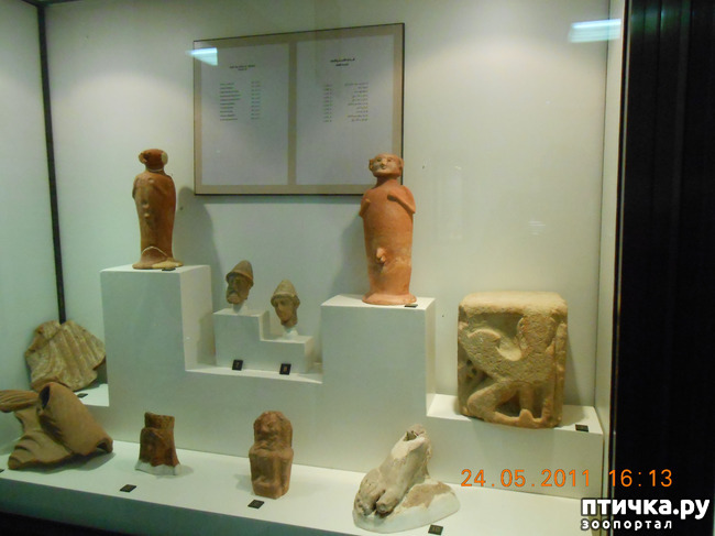 ���� 3: �����. ��� ������.