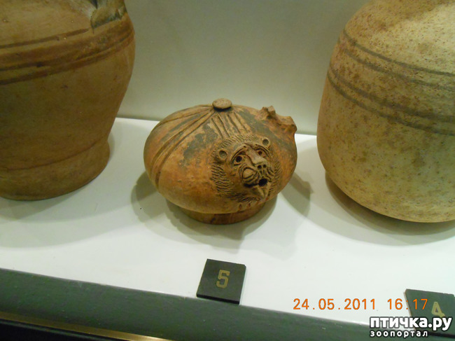 ���� 6: �����. ��� ������.