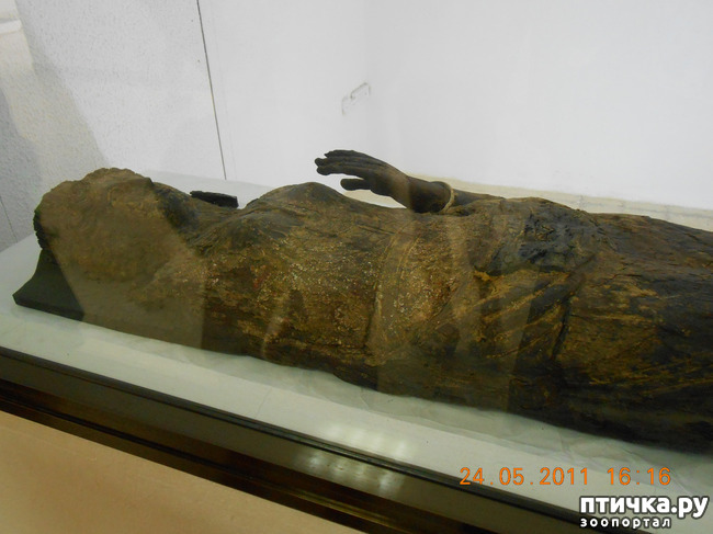 ���� 8: �����. ��� ������.