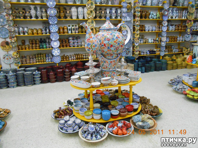 ���� 22: �����. ��� ������.