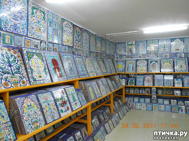 ���� 24: �����. ��� ������.