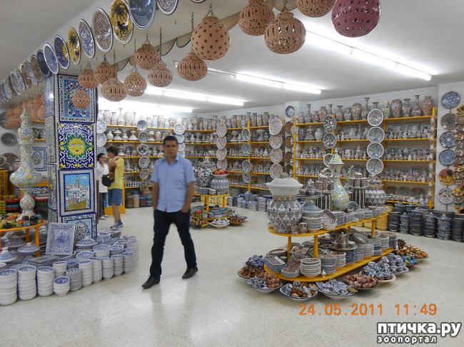 ���� 23: �����. ��� ������.