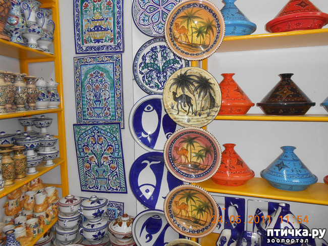 ���� 26: �����. ��� ������.