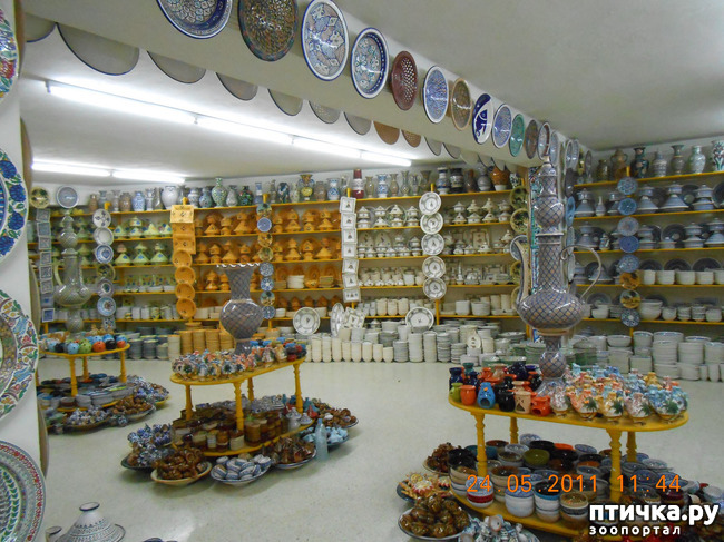 ���� 25: �����. ��� ������.