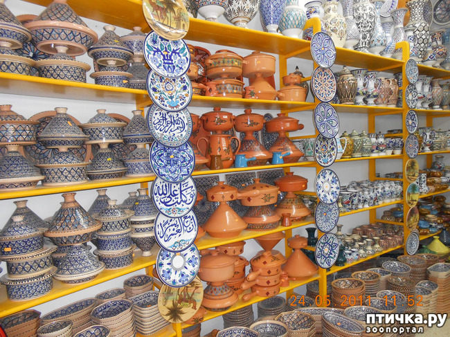 ���� 28: �����. ��� ������.