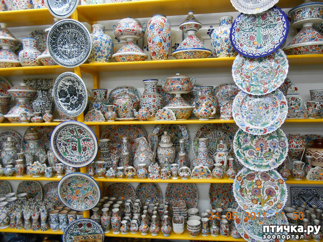 ���� 31: �����. ��� ������.