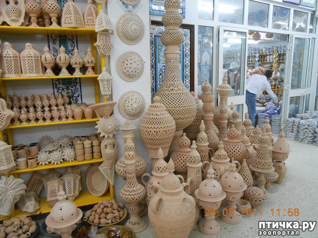 ���� 30: �����. ��� ������.