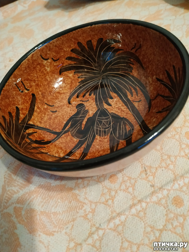 ���� 33: �����. ��� ������.