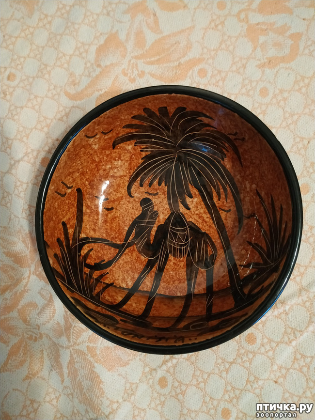 ���� 34: �����. ��� ������.