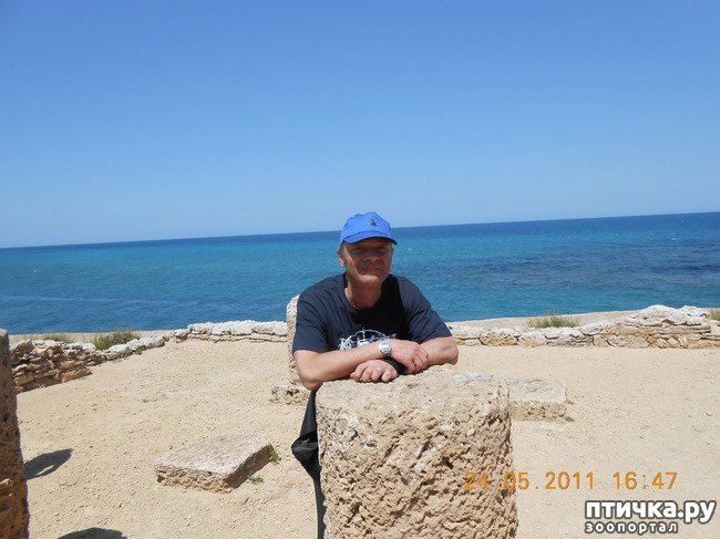 ���� 35: �����. ��� ������.