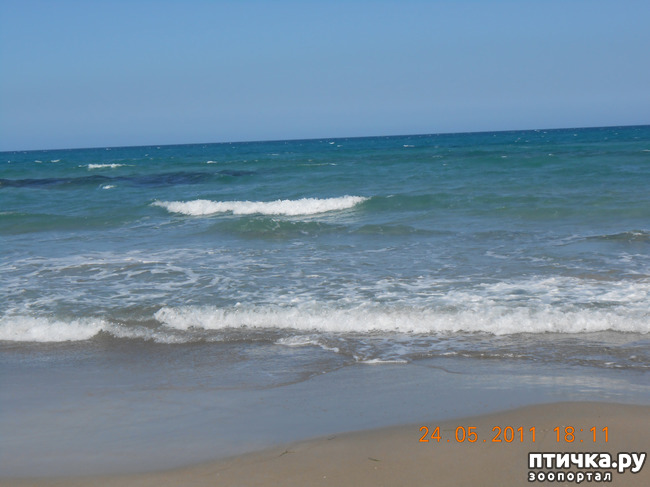 ���� 9: �����. ��� ������.