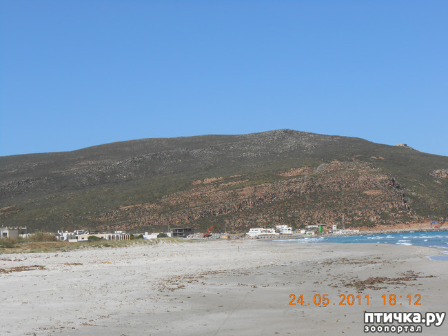 ���� 10: �����. ��� ������.