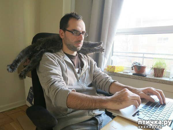 ���� 1: � ������ ����������� ����� ������ �� �����...