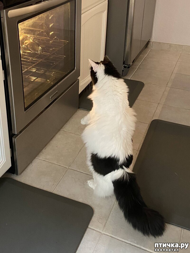 ���� 3: � ������ ����������� ����� ������ �� �����...