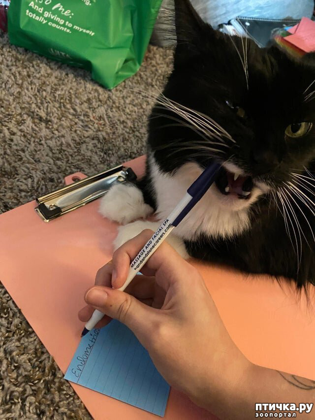 ���� 4: � ������ ����������� ����� ������ �� �����...