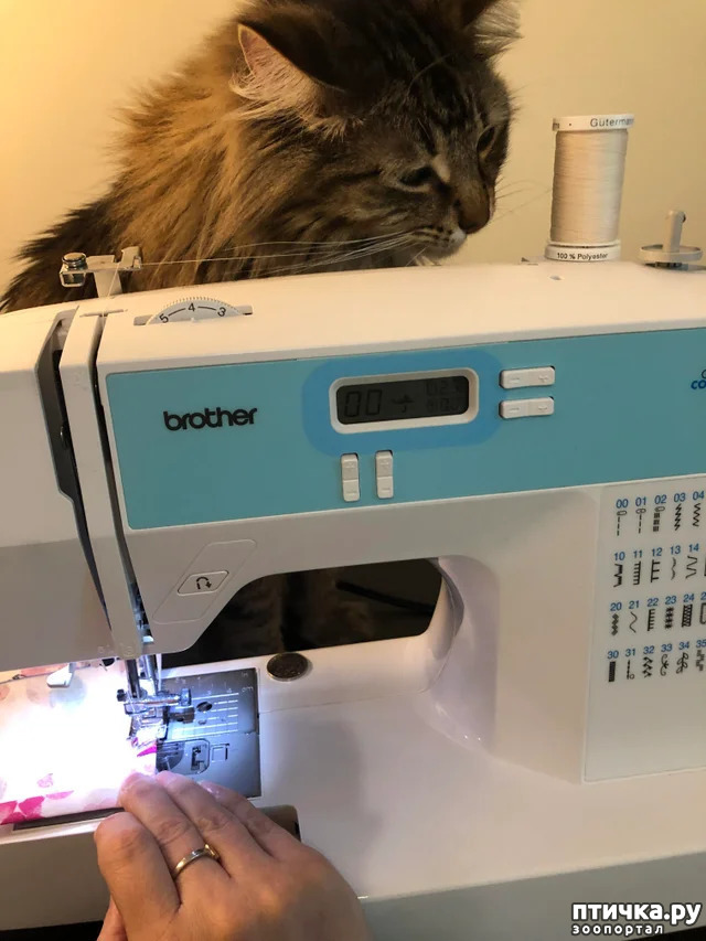 ���� 6: � ������ ����������� ����� ������ �� �����...