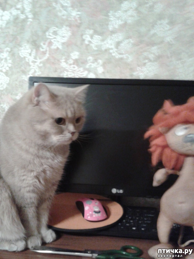 ���� 7: � ������ ����������� ����� ������ �� �����...