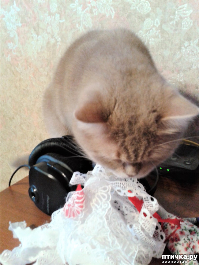 ���� 8: � ������ ����������� ����� ������ �� �����...