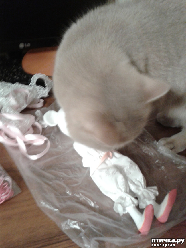 ���� 9: � ������ ����������� ����� ������ �� �����...