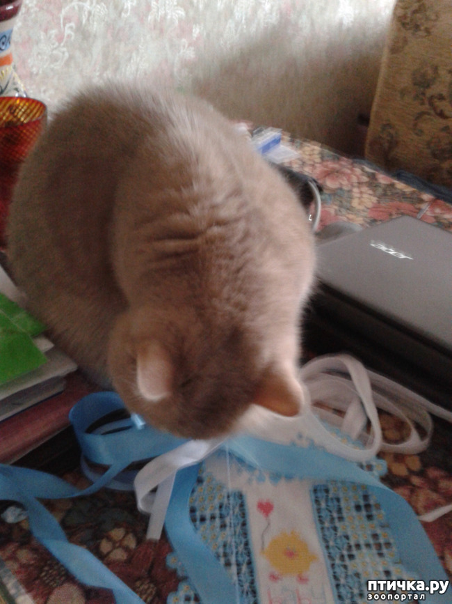 ���� 10: � ������ ����������� ����� ������ �� �����...