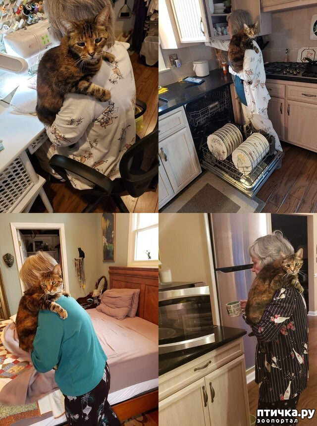 ���� 11: � ������ ����������� ����� ������ �� �����...