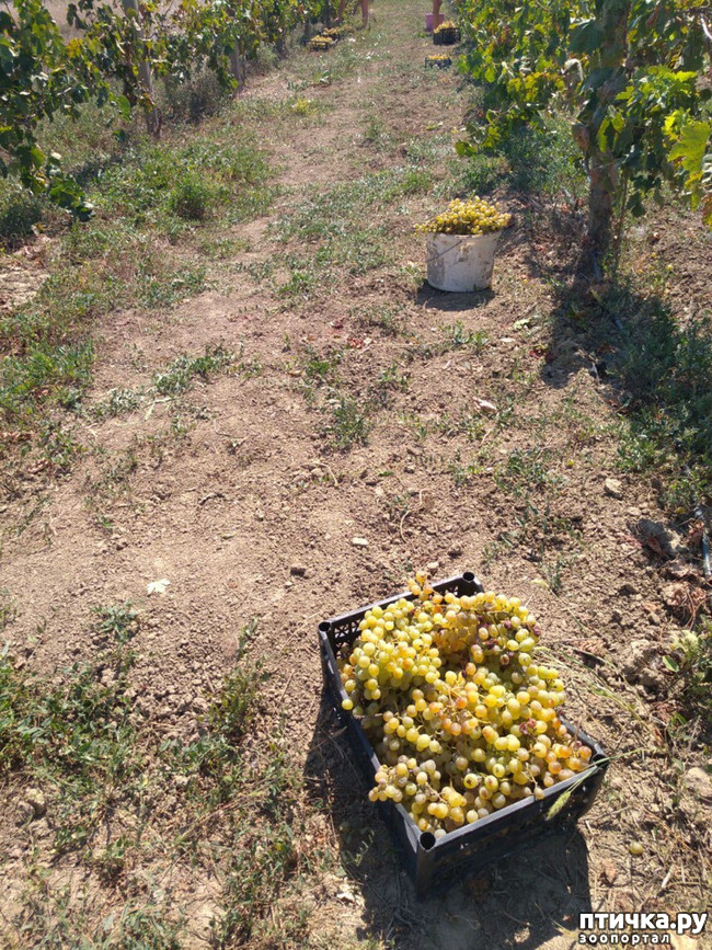 ���� 19: ��� ���, ��� ��� ���.