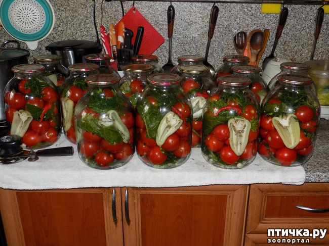 ���� 21: ��� ���, ��� ��� ���.