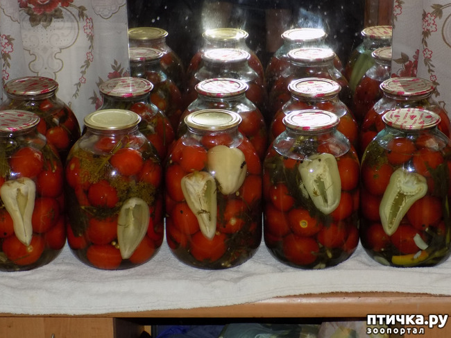 ���� 22: ��� ���, ��� ��� ���.