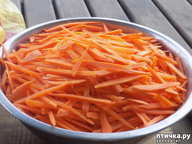 ���� 6: ��� ���, ��� ��� ���.