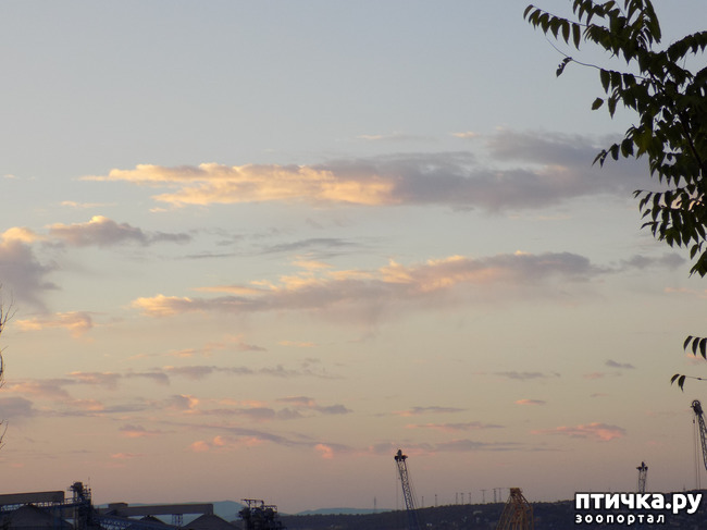 ���� 23: ��� ���, ��� ��� ���.