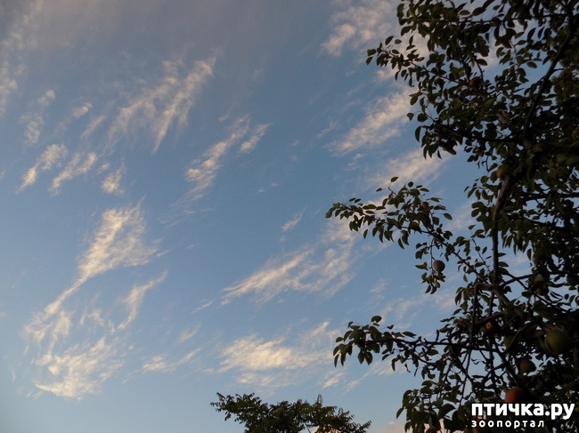 ���� 24: ��� ���, ��� ��� ���.