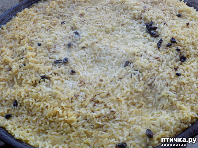 ���� 8: ��� ���, ��� ��� ���.