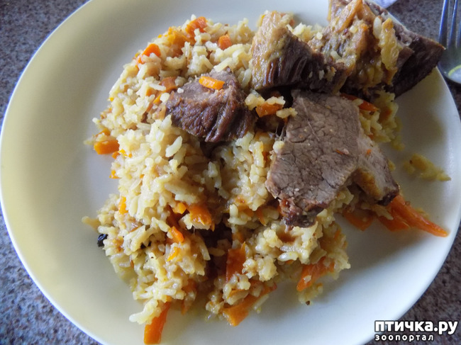 ���� 9: ��� ���, ��� ��� ���.