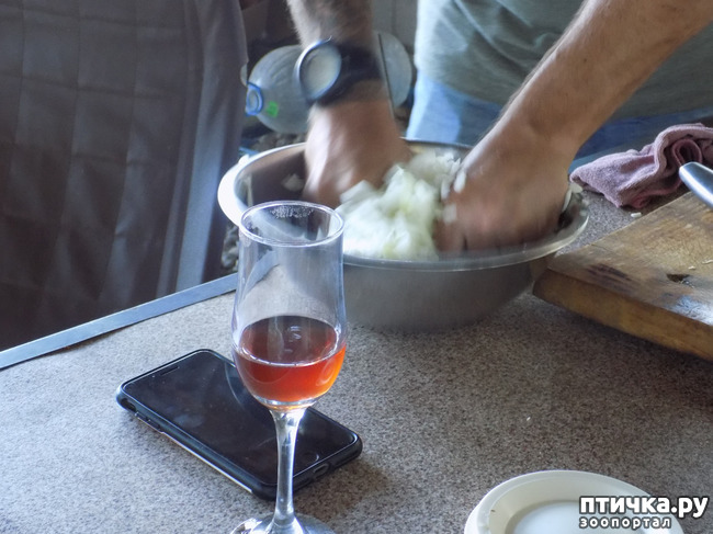 ���� 5: ��� ���, ��� ��� ���.