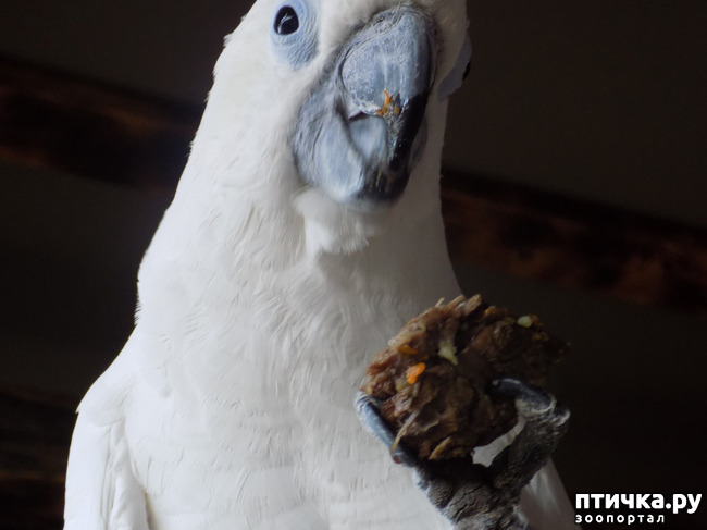 ���� 10: ��� ���, ��� ��� ���.