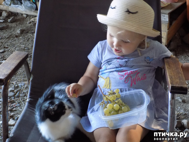 ���� 11: ��� ���, ��� ��� ���.