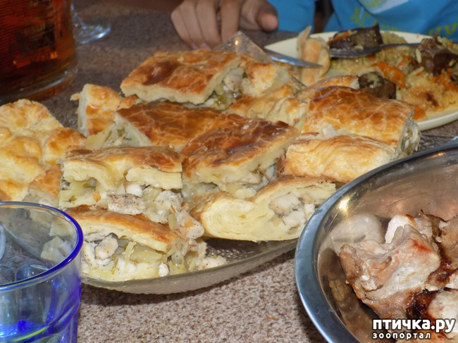 ���� 13: ��� ���, ��� ��� ���.