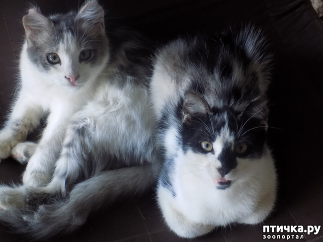 ���� 14: ��� ���, ��� ��� ���.