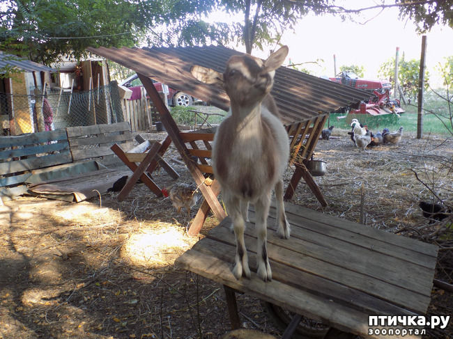 ���� 15: ��� ���, ��� ��� ���.