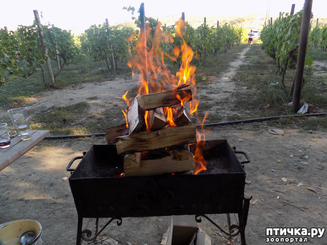 ���� 2: ��� ���, ��� ��� ���.