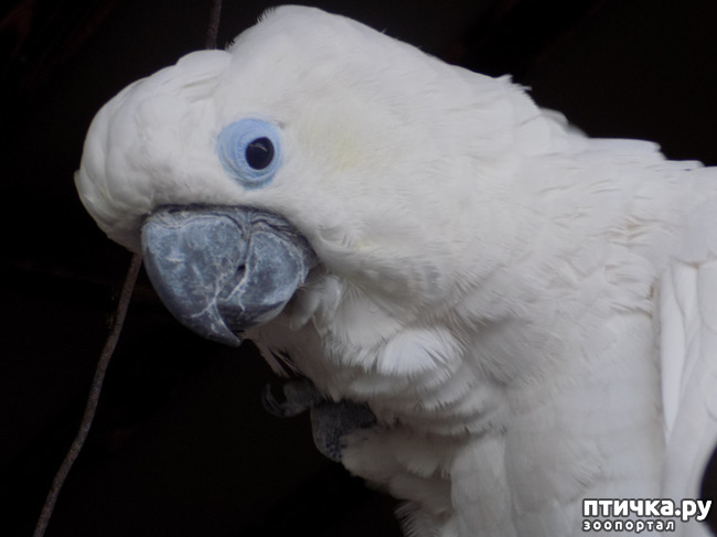 ���� 16: ��� ���, ��� ��� ���.