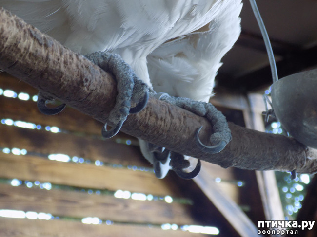 ���� 17: ��� ���, ��� ��� ���.