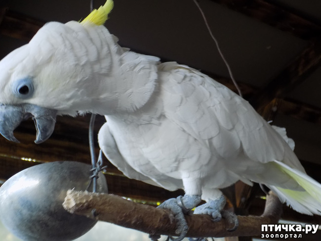 ���� 18: ��� ���, ��� ��� ���.