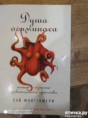 ����: ��� ����������: "���� ���������: ����� �������� ������������� ��������"